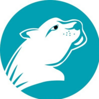 猎豹加速器(连接全球)官方网站